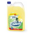 endless chloroactive 4lt leptoreysti extra photo 1
