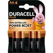 mpataria duracell plus powerboost aa photo