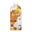 malaktiko royxon lenor joy gold orchid 56mez photo