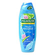 afroloytro palmolive spa massage 650ml photo