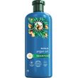 herbal sampoyan argan oil 350ml photo