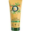 herbal conditioner orang blossom 250ml photo