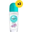 aposmitiko noxzema roll on fresh blossom 150ml3x50ml photo