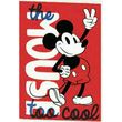 pyramid international tetradio rige a5 kokkino mickey mouse too cool photo