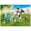 playmobil 70516 anabatis me pony connemara extra photo 1