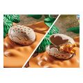 playmobil 71526 folia stegosayroy kai kleftis aygon extra photo 3