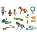 playmobil 71495 agones ippasias extra photo 1