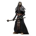 hasbro fans disney star wars the book of boba fett vintage tusken warrior massiff fig 10cm extra photo 2