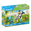 playmobil 70516 anabatis me pony connemara photo