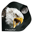 ftera bulls dart powerflite a std poweflite photo