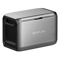 ecoflow glacier classic 45l foritos psygeiokatapsyktis extra photo 3