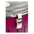 foriti psistaria karboynoy lotusgrill g435 u xl 405cm plum purple lila extra photo 2