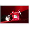 sesoyar soocas h5 red extra photo 5