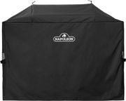 napoleon kalymma prostasias gia psistaria ygraerioy freestyle 24 plancha photo napoleon kalymma prostasias gia psistaria ygraerioy freestyle 24 plancha photo