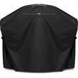 kalymma prostasias gia psistaria napoleon travelq pro 285x photo