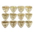 prodigy pennes mpoyzoykioy tzoyra mpaglama laki medium wp pearl set 12tmx extra photo 1