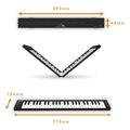 carry on folding controller 49 blackstar extra photo 1