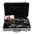 hermes dcl 300 klarineto dimotiko germaniko extra photo 2