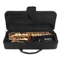 prestige sp1001g supreme gold alto saxofono extra photo 1