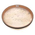 schlagwerk rt40cd coast drum light 40cm tympano xeiros extra photo 1