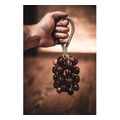 sonic energy sprs pala shaker small extra photo 2