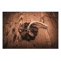 sonic energy spgrs pangi shaker small extra photo 2