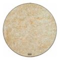 remo gathering drum 22 x 08 kid s series tympano extra photo 2