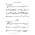 101 classical themes for fflute flute solo extra photo 1