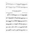 101 classical themes for fflute flute solo extra photo 2