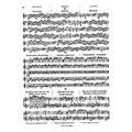 sevcik otakar violin studies op6 part 6 extra photo 1