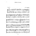 duets for violin violoncello for beginners vol ii extra photo 1