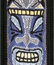 d addario planet waves tiki zoni ilektrikis kitharas mpasoy photo