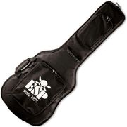 esp ltd cgigdxg deluxe thiki ilektrikis kitharas photo