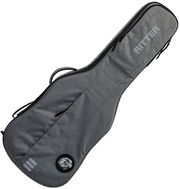 ritter rgc3 e egr elephant grey carouge thiki ilektrikis kitharas photo