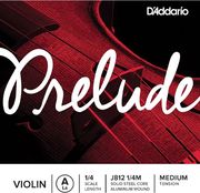 d addario j812 1 4 medium xordi biolioy photo