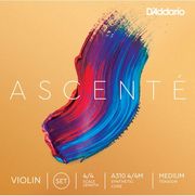 d addario ascente a314 4 4 medium tension xordi sol biolioy photo