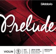 d addario j814 g 4 4 medium xordi biolioy photo