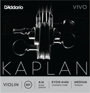 d addario kaplan kv310 vivo xordes biolioy medium 4 4 photo