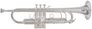 trompeta gewapure roy benson b flat tr 403 epargyri photo