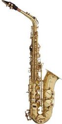 stagg ws as215s alto saxofono photo