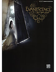 evanescence the open door photo