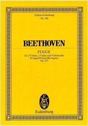 beethoven fugue op137 photo