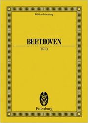 beethoven string trios op 8 photo