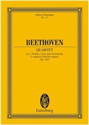 beethoven string quartet op 18 no2 photo