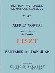 liszt fantaisie sur don juan photo