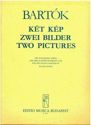 bela bartok two pictures op10 photo