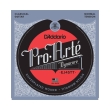 xordes klassikis kitharas d addario ej45tt pro arte series clear silverplated normal tension photo