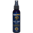music nomad mn131 all purpose key one katharistiko spray mn131 photo