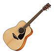 akoystiki kithara yamaha fg 800nt ii natural photo