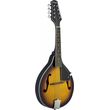mantolino stagg m20 bluegrass plake photo